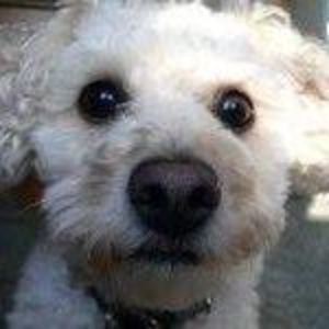 Meet your Posher, Wendy